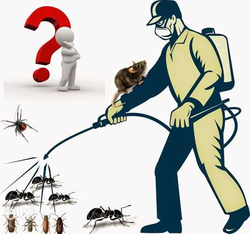شركة مكافحة حشرات في دبي
